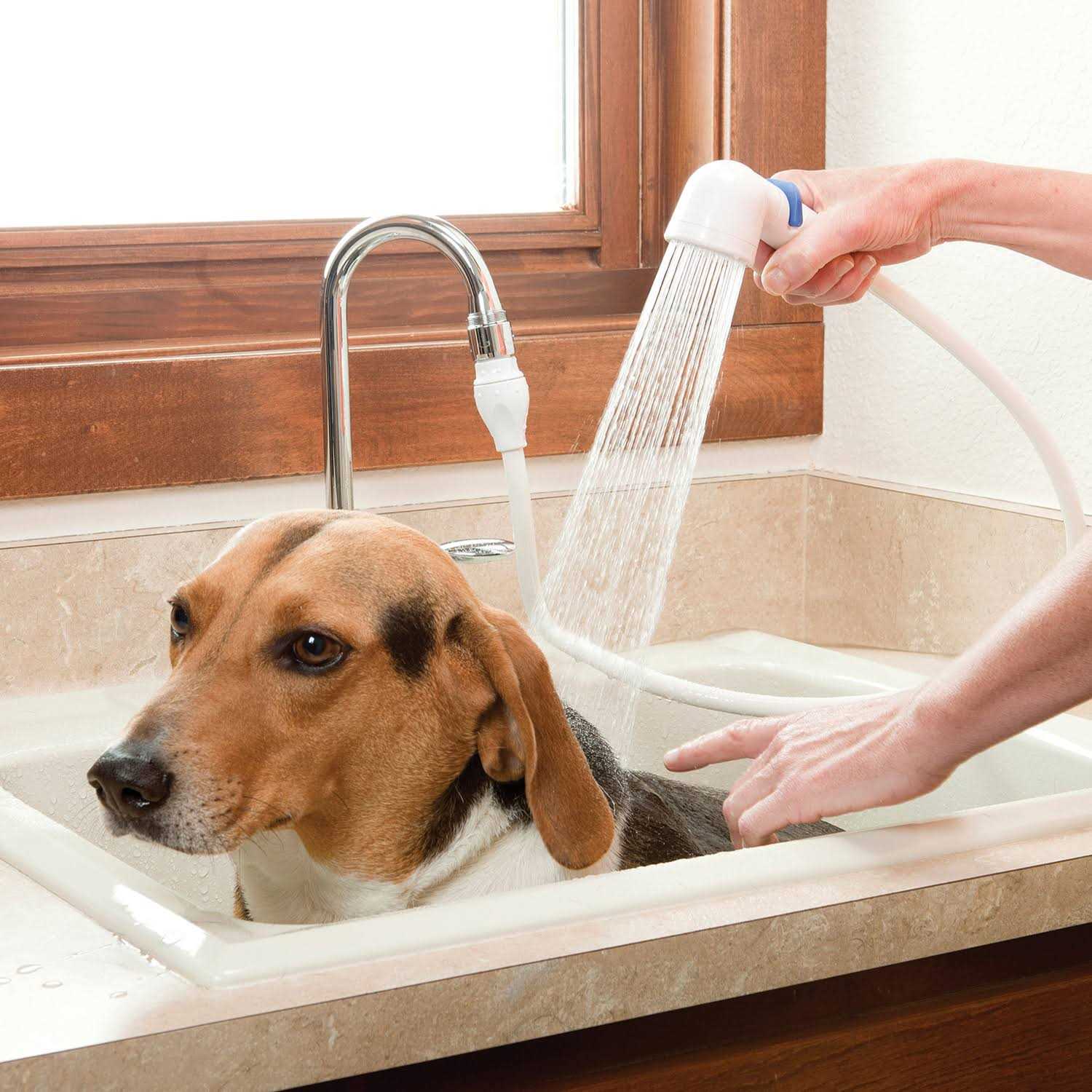 Rinse Ace 3-in-1 Pet Bathing System - Zenithce