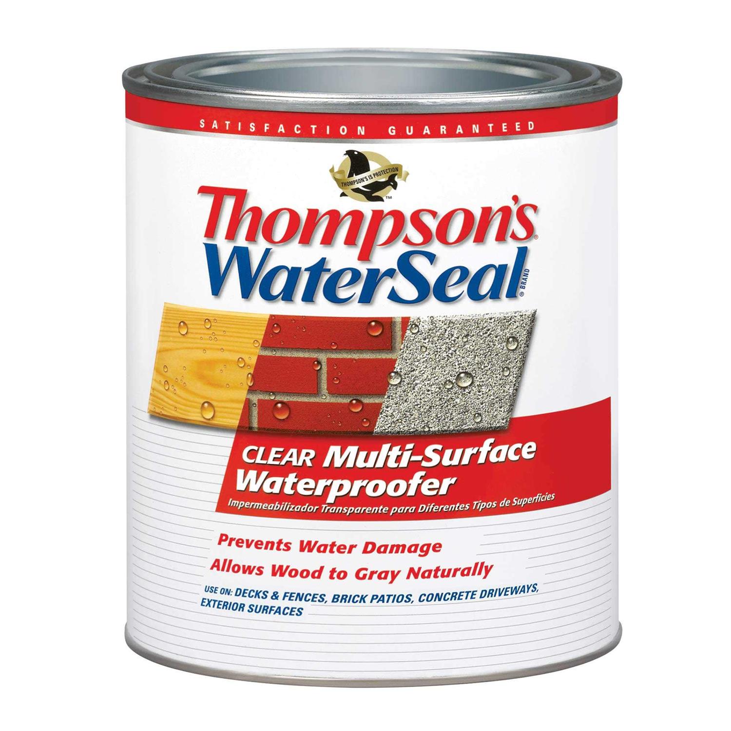 Thompson’s WaterSeal Transparent Chestnut Brown Waterproofing Wood Stain and Sealer 1 gal - Zenithce