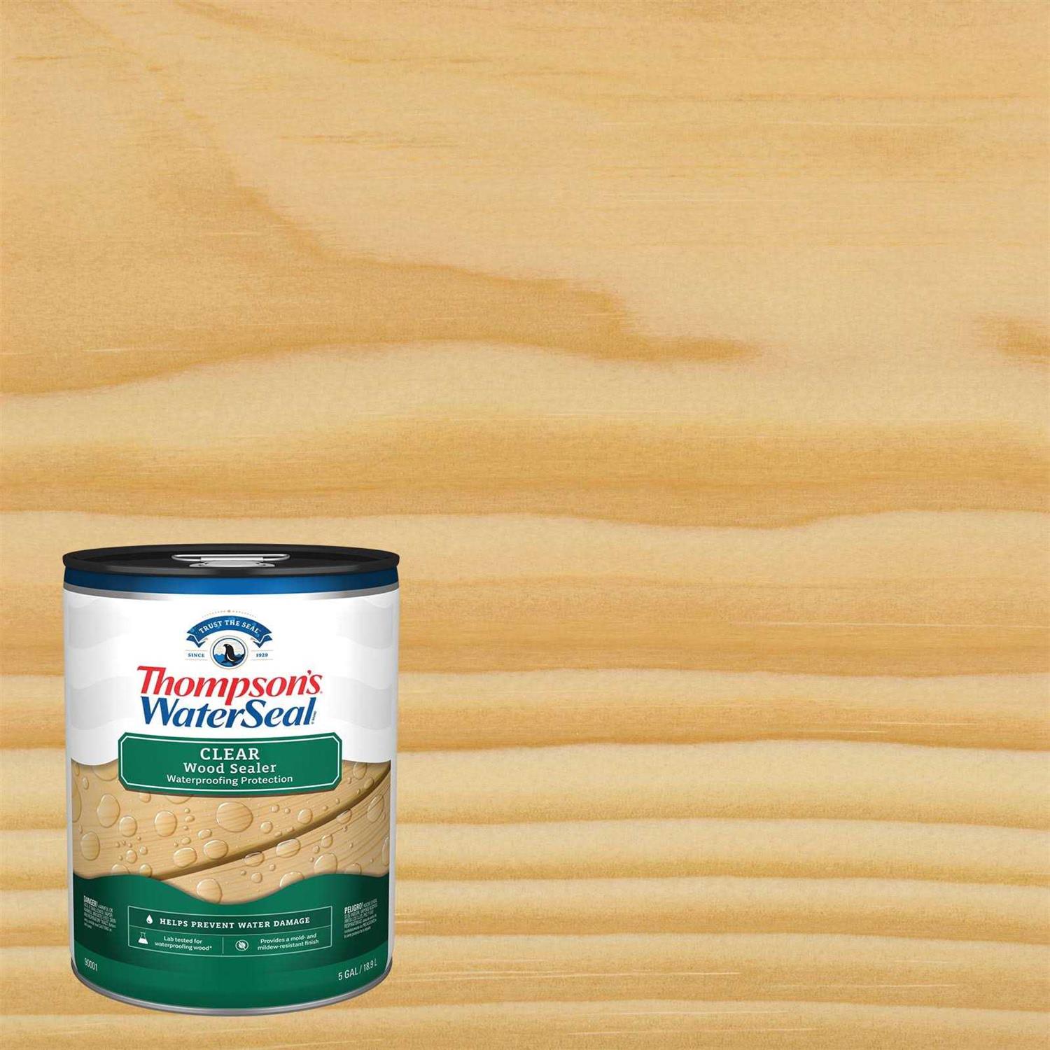 Thompson’s WaterSeal Semi-Transparent Wood Sealer - Zenithce