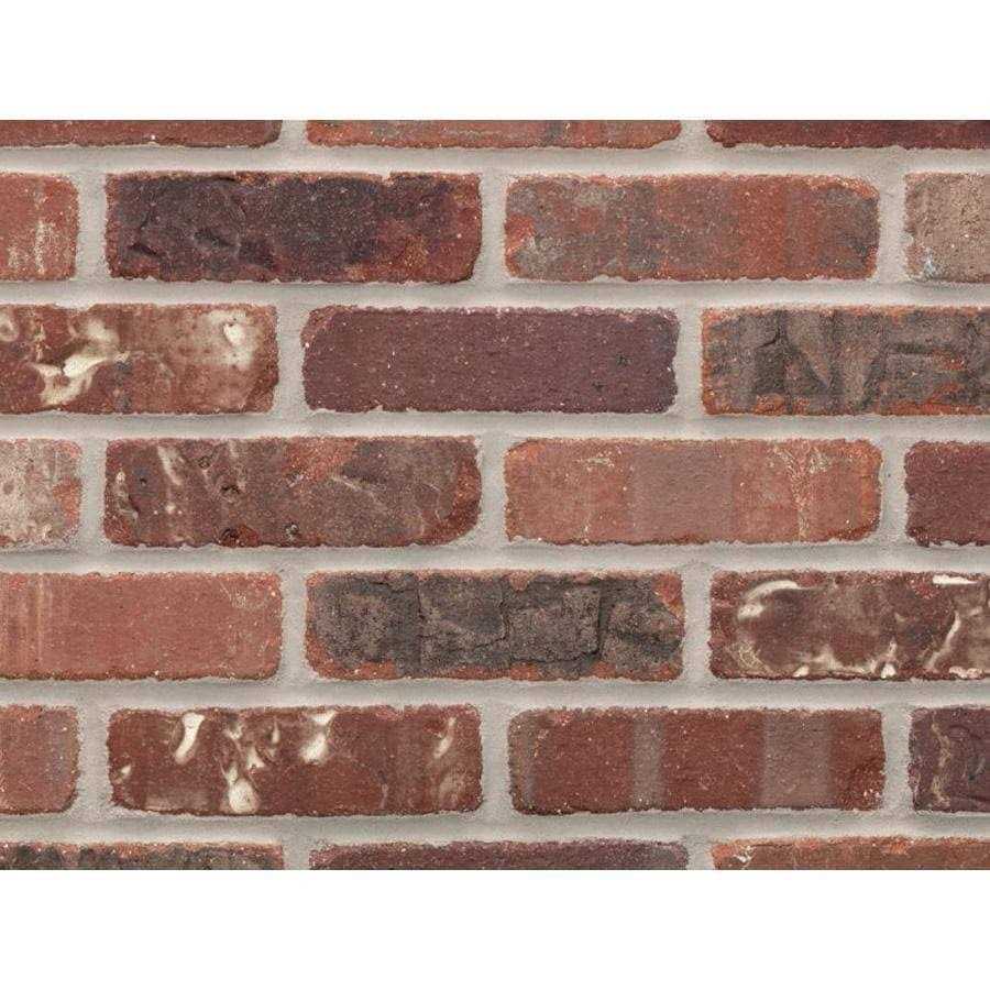 General Shale Providence series 1/2-in x 8-in Tumbled Natural Stone Ledgestone Brick Patterned Wall Tile - Zenithce