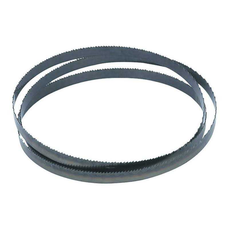 Portland Saw 6-1/2 in. Coping Saw Blades - Zenithce