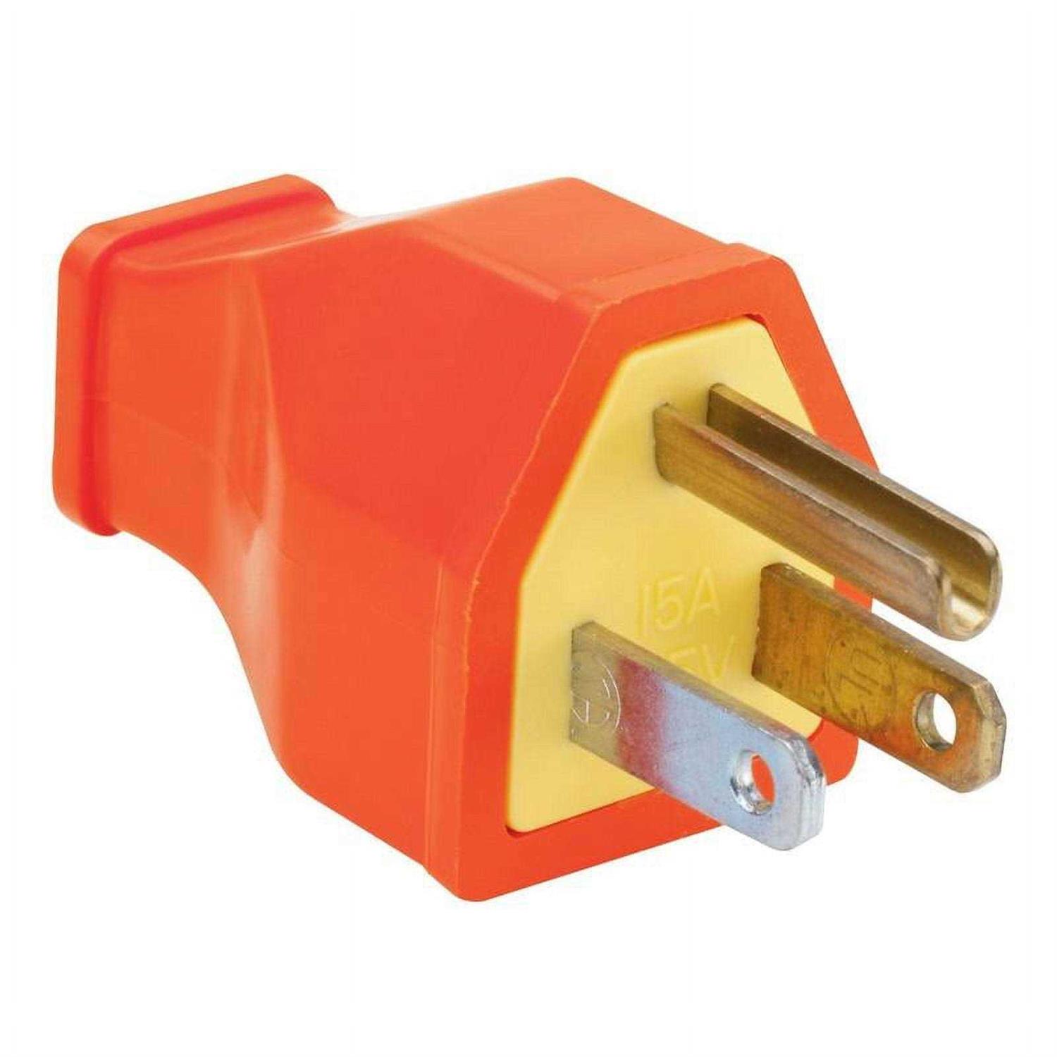 Pass & Seymour 15A 2W Plug - Zenithce