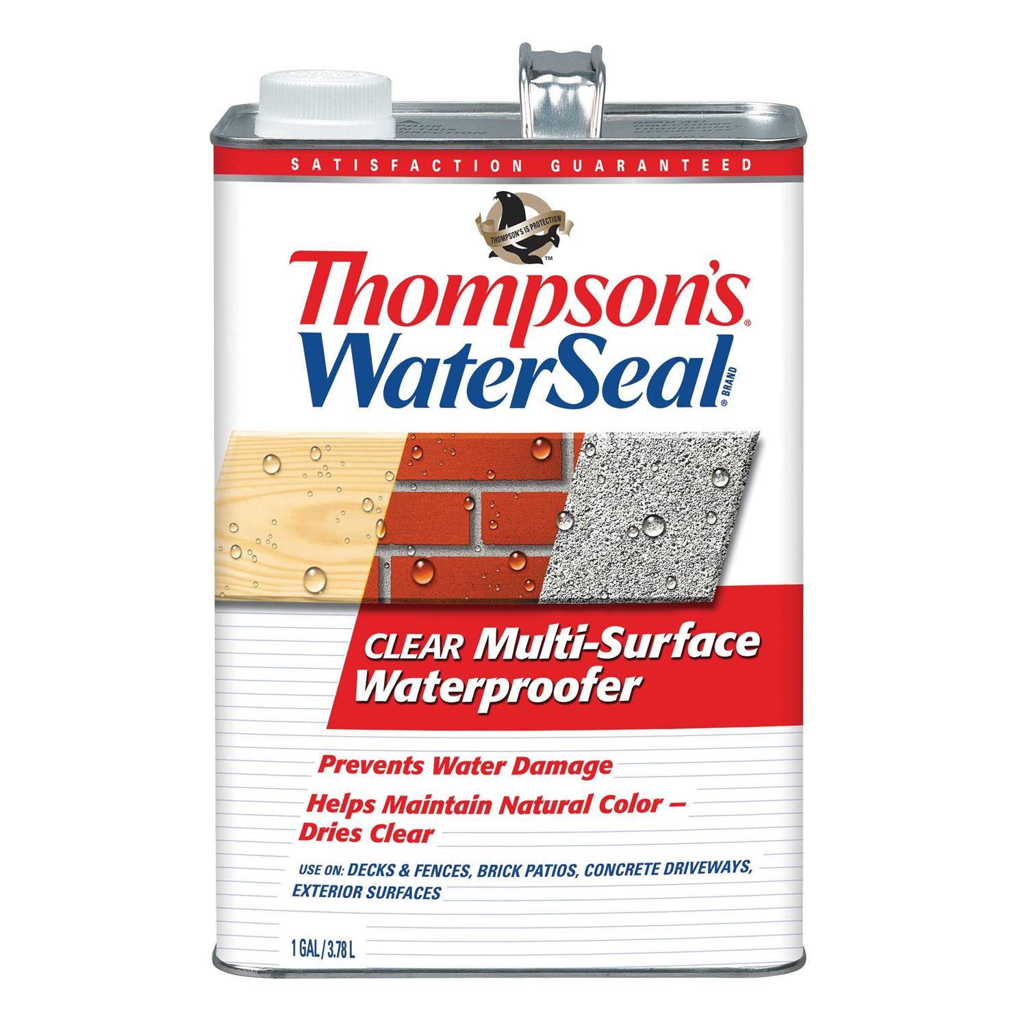 Thompson’s WaterSeal Clear Multi-Surface Waterproofer 1.2 Gallon - Zenithce
