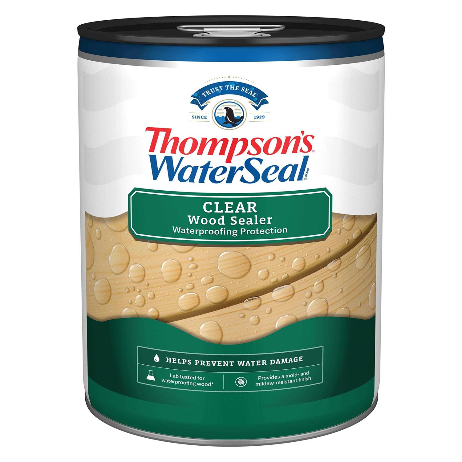 Thompson’s WaterSeal Semi-Transparent Wood Sealer - Zenithce