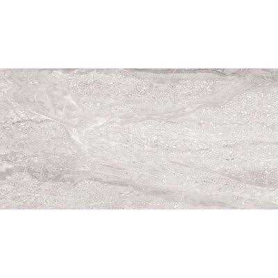 The Tile Life Rocky 12 x 24 Porcelain Wall Floor Tile - Zenithce