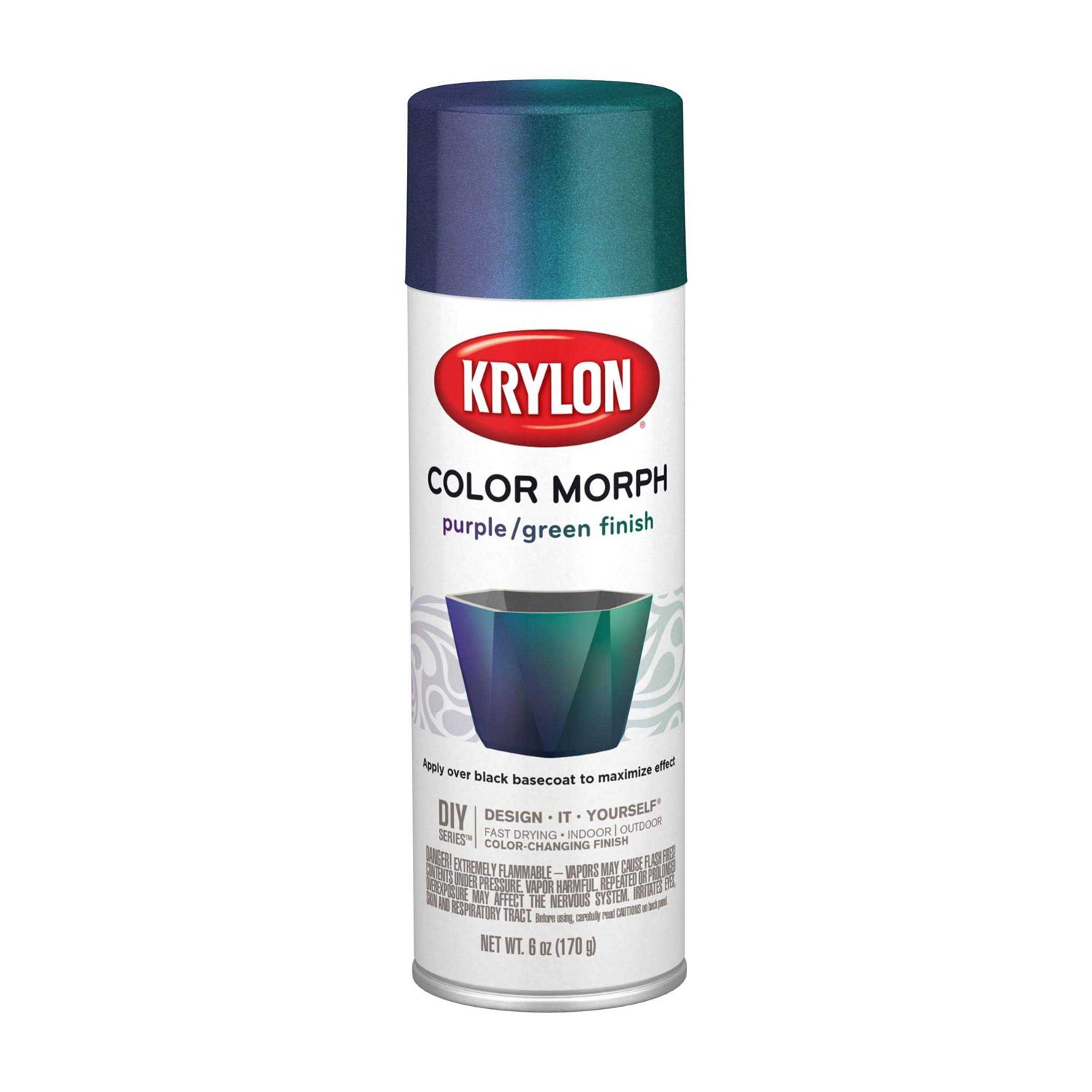 Krylon Coarse Stone Charcoal Sand Textured Finish Spray - Zenithce