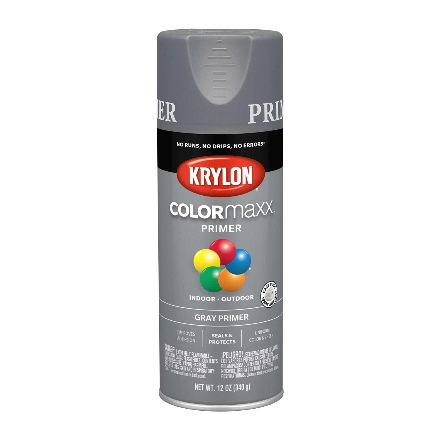 Krylon COLORmaxx K05646007 Interior/Exterior Paint - Zenithce
