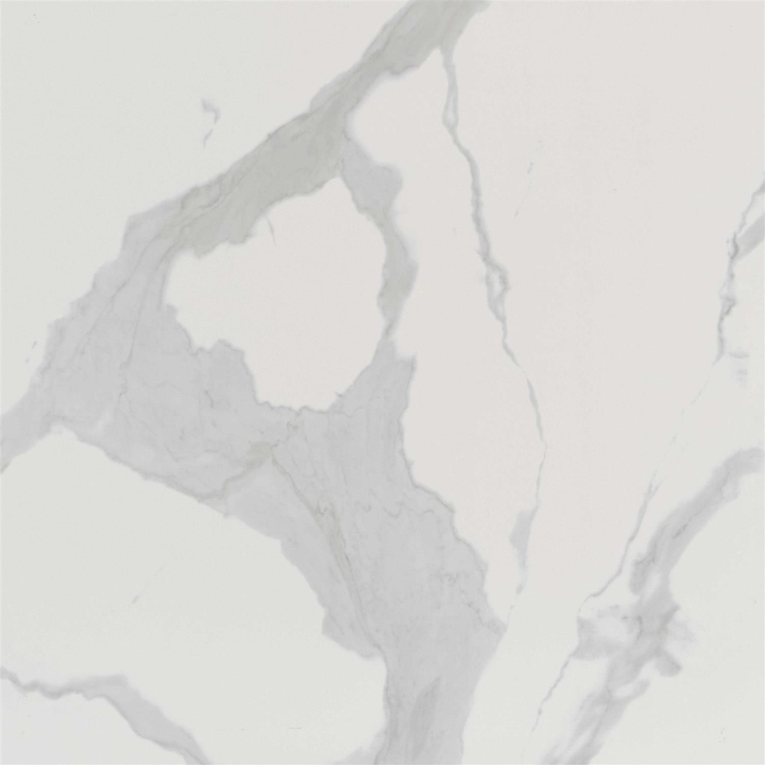 MSI Eden Statuary 24 in. x Porcelain Floor and Wall Tile - Zenithce