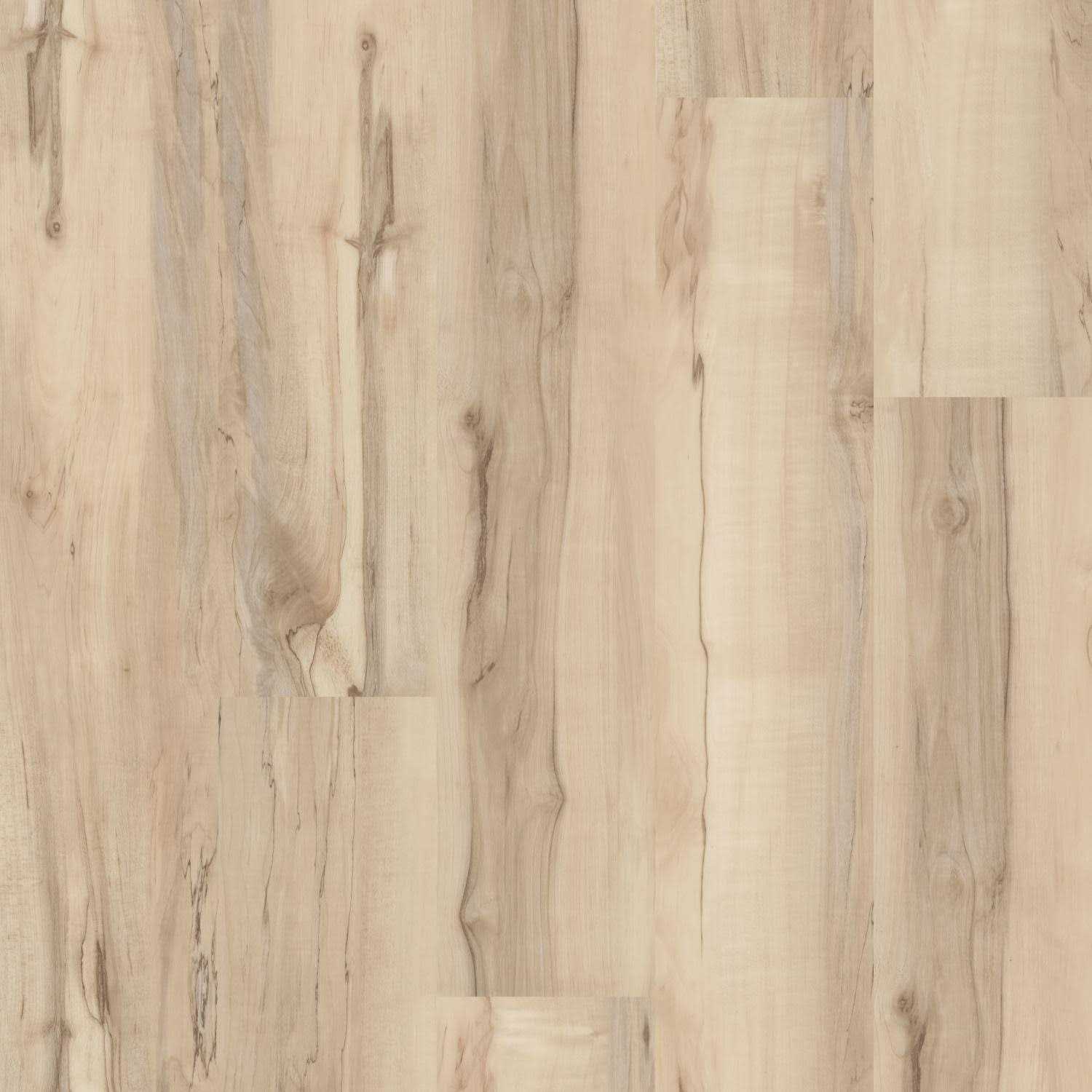 Shaw Floors Shaw Islander 8 x 8 Garden Way CS50Z 00641 - Zenithce