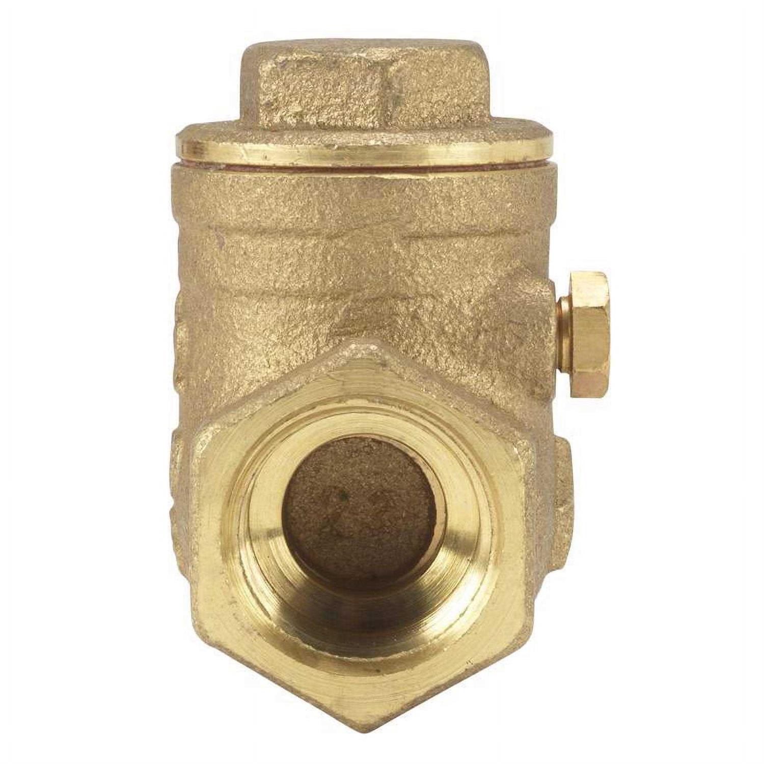 Homewerks Brass Swing Check Valve - Zenithce
