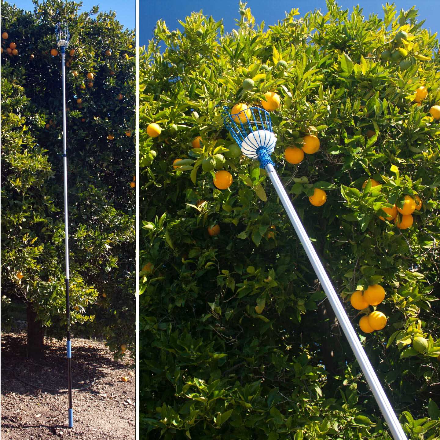 EVERSPROUT Fruit Picker - Zenithce