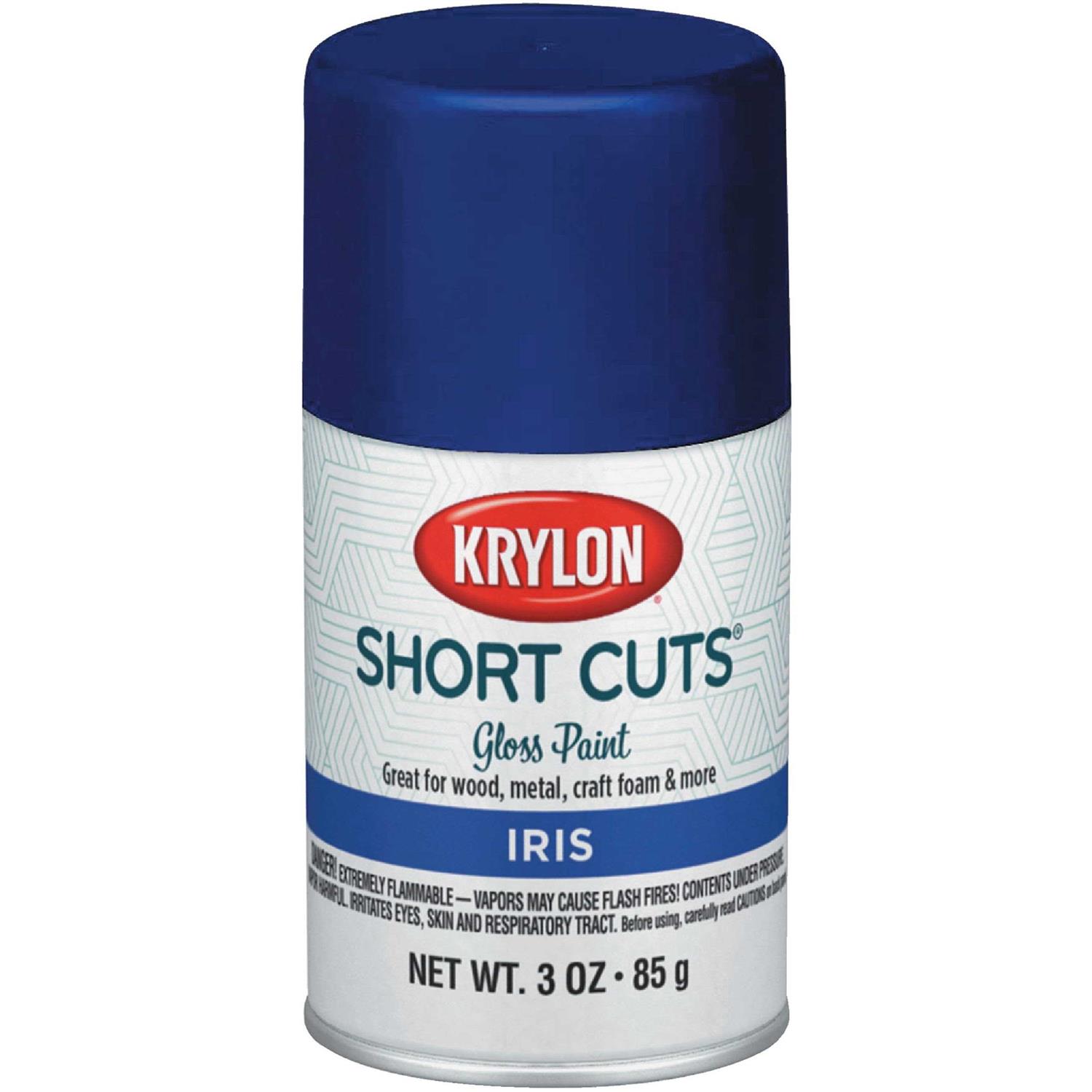 Krylon Short Cuts Spray Paint - Zenithce