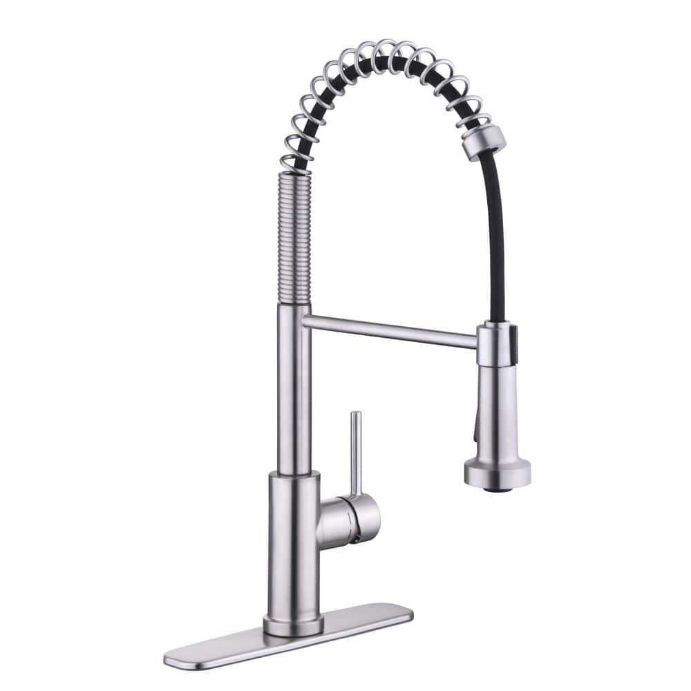 Glacier Bay Paulina Single-Handle Spring Neck Pull Down Sprayer Kitchen Faucet - Zenithce