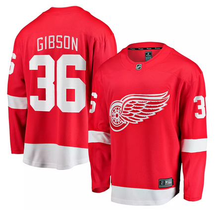 Detroit Red Wings #36 John Gibson Red Home Stitched Jersey - Zenithce