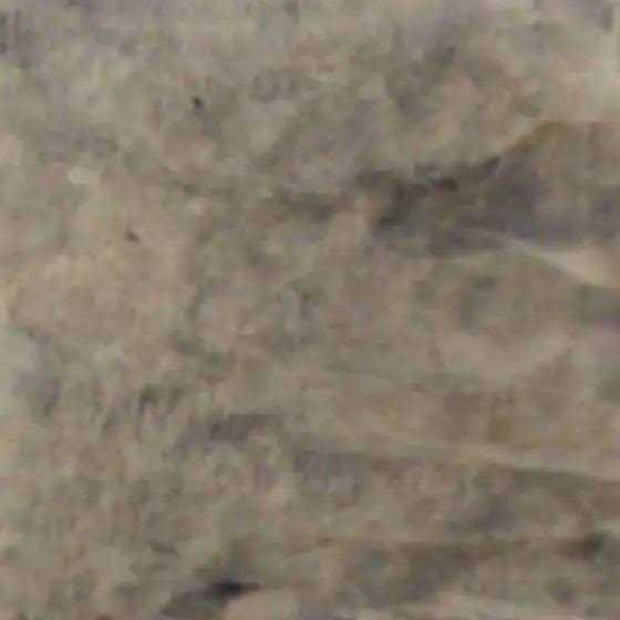 Walttools Water Based Stain for Concrete - Zenithce