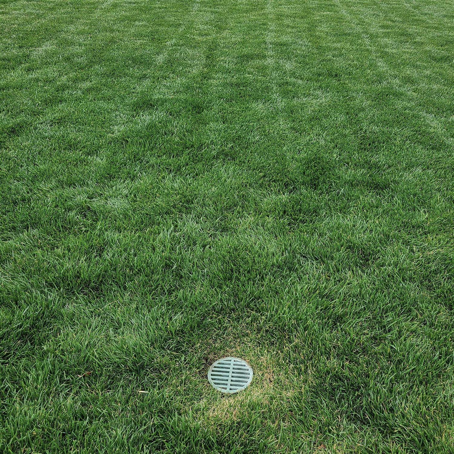 Premium USA Made Outdoor Round Flat Drain Grate Cover - Zenithce