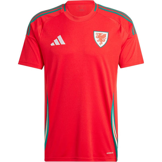 Wales 2024/25 Home Soccer jersey - Zenithce
