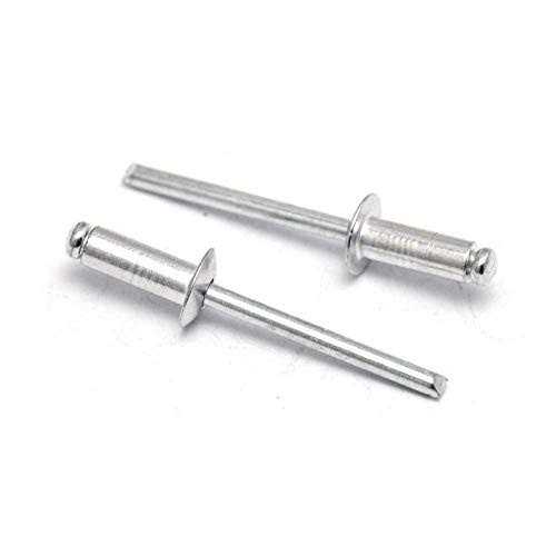 ispinner 100pcs Aluminum Blind Rivets - Zenithce