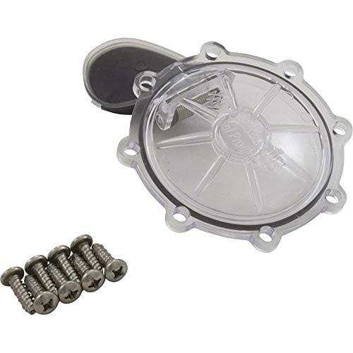 Pentair Check Valve Replacement Kit 263042Z - Zenithce