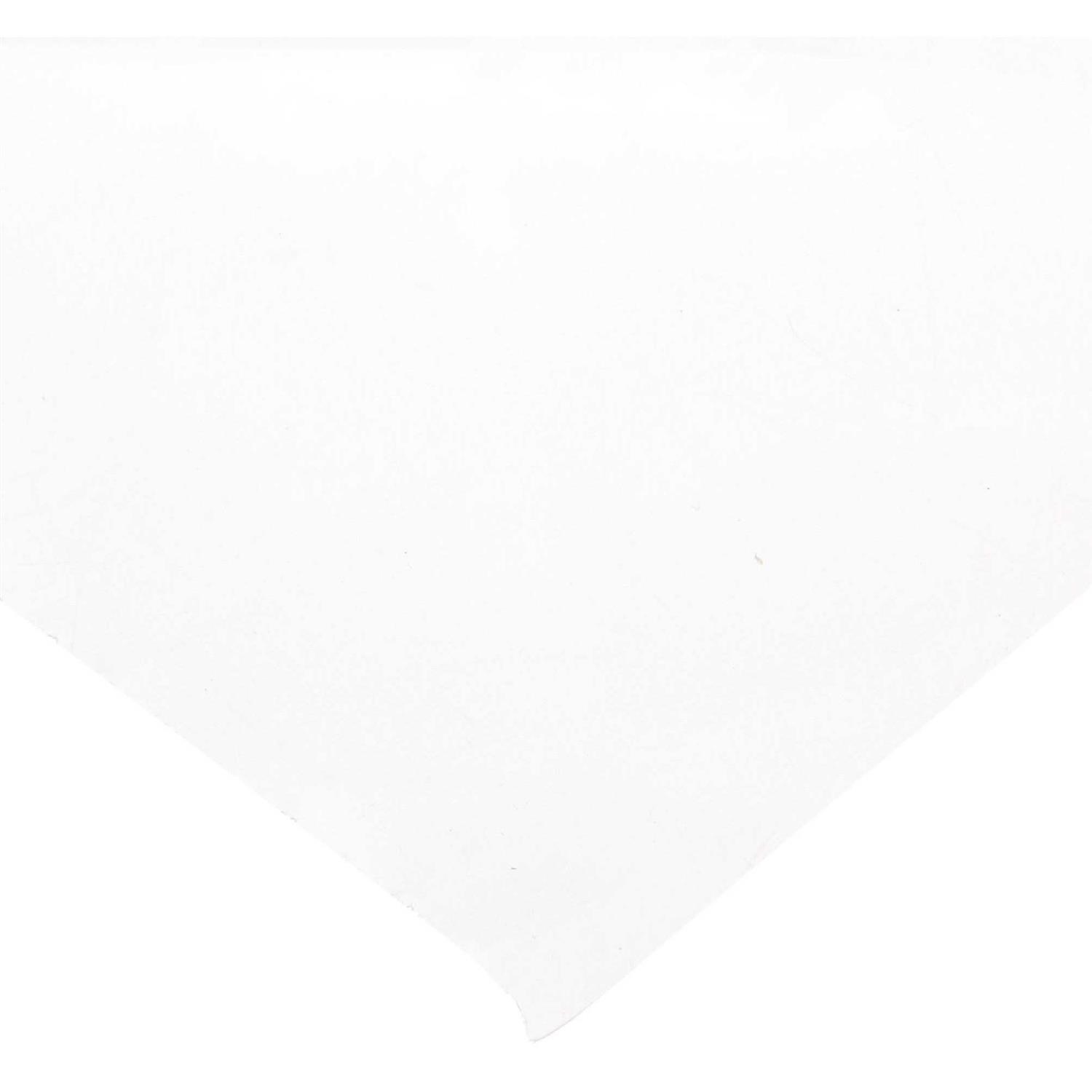 Frost King P350BW Polyethylene Sheeting 50 ft L - Zenithce