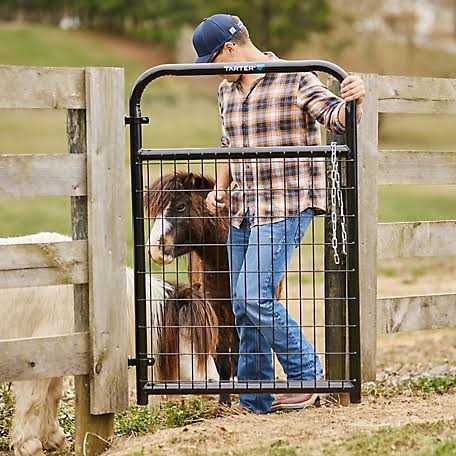 Tarter 2 x 4 in. Wire-Filled Gate WFGBL - Zenithce