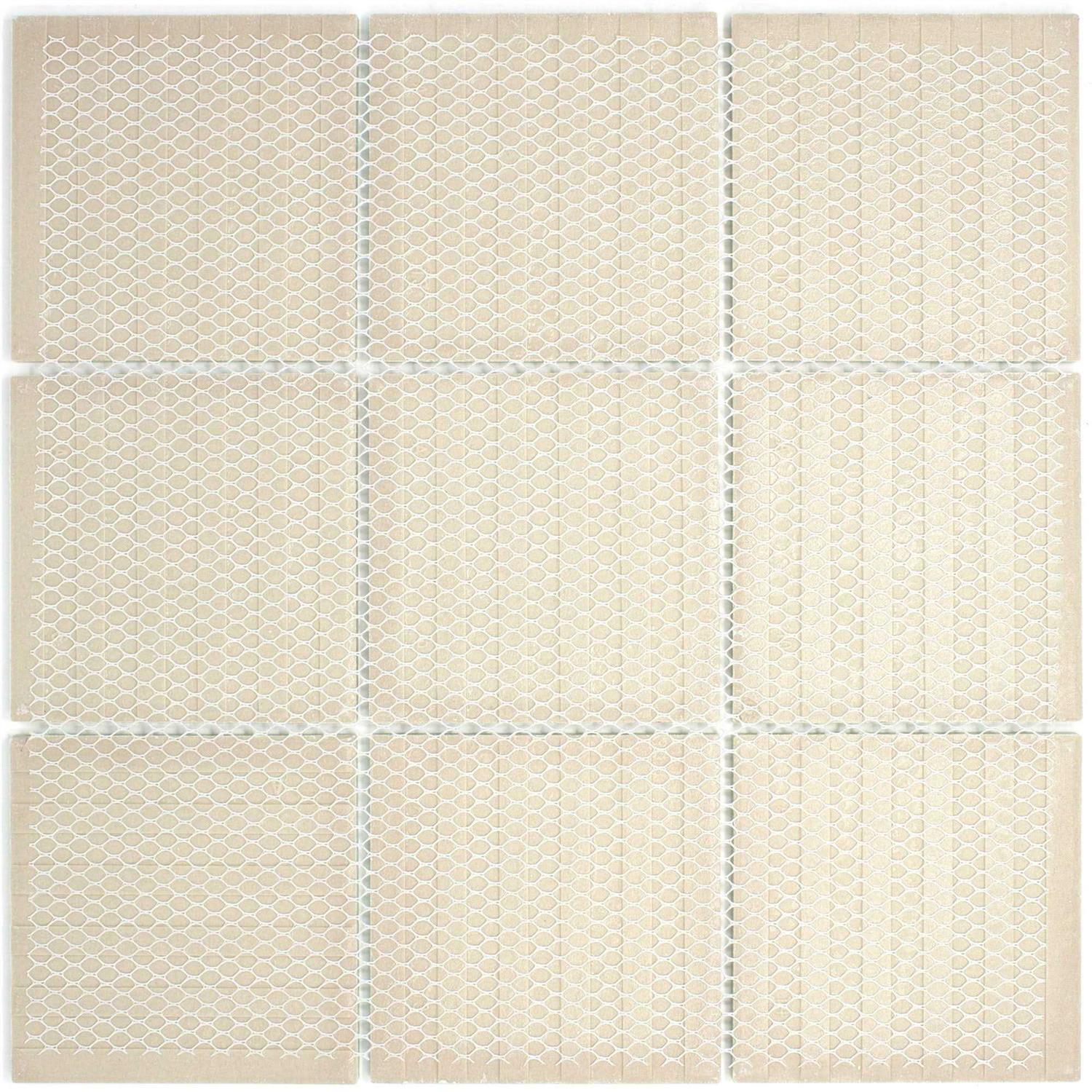 MOLOVO New Country 2.95 in. x 5.9 in. Polished Ceramic Wall Tile - Zenithce