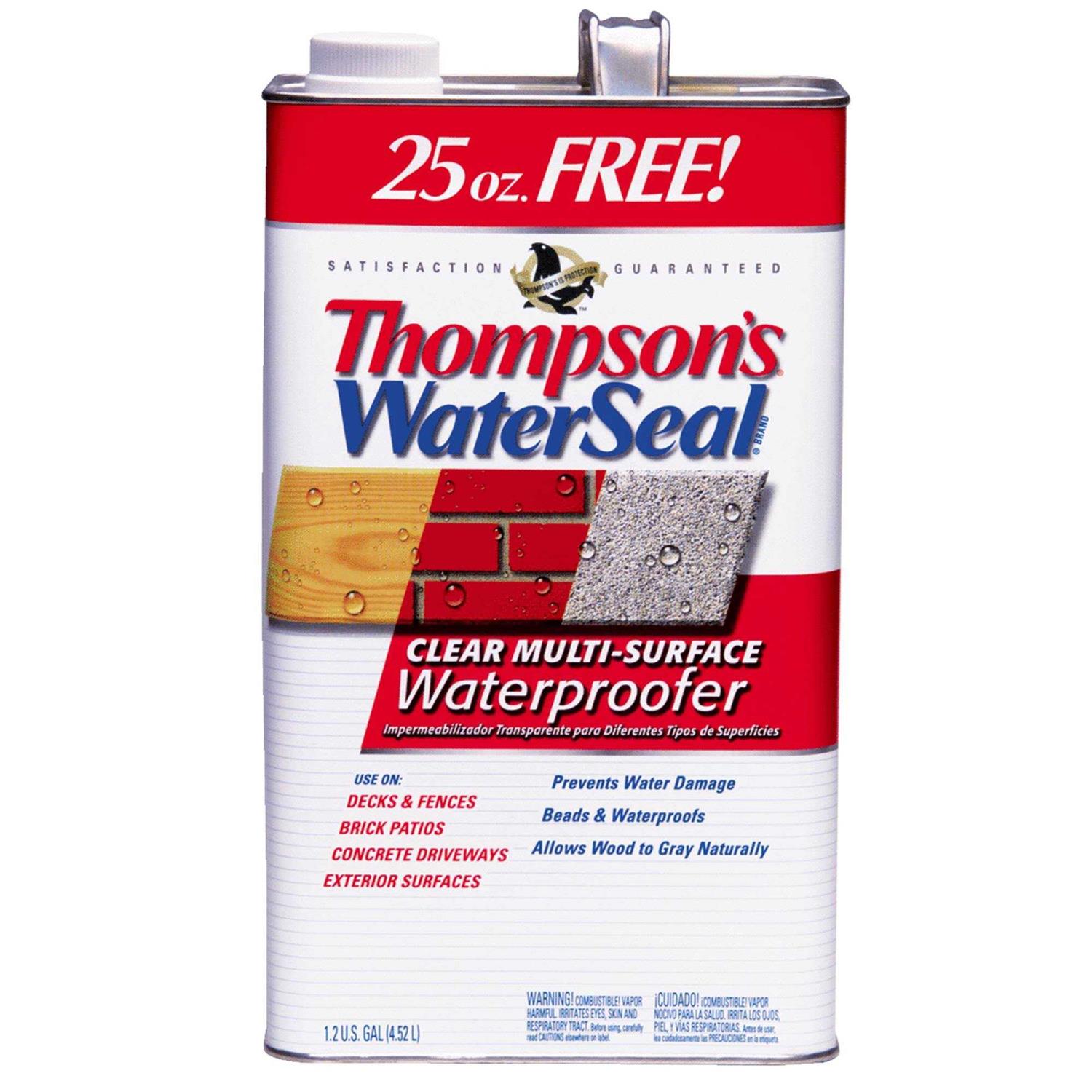 Thompson’s WaterSeal Clear Multi-Surface Waterproofer - Zenithce