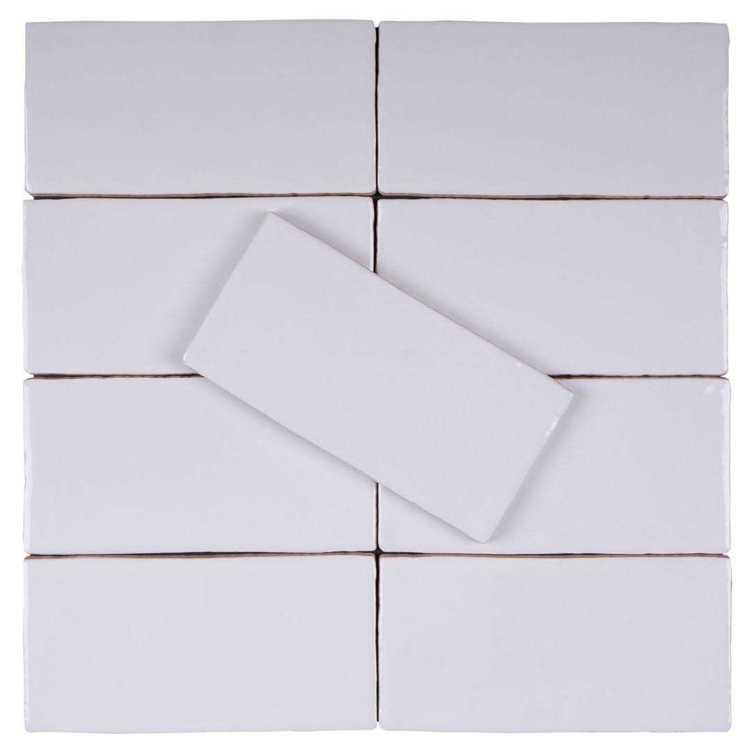 MOLOVO New Country 2.95 in. x 5.9 in. Polished Ceramic Wall Tile - Zenithce
