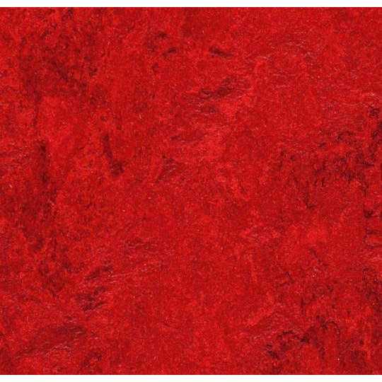 Forbo Marmoleum Linoleum Sheet 79 - Zenithce
