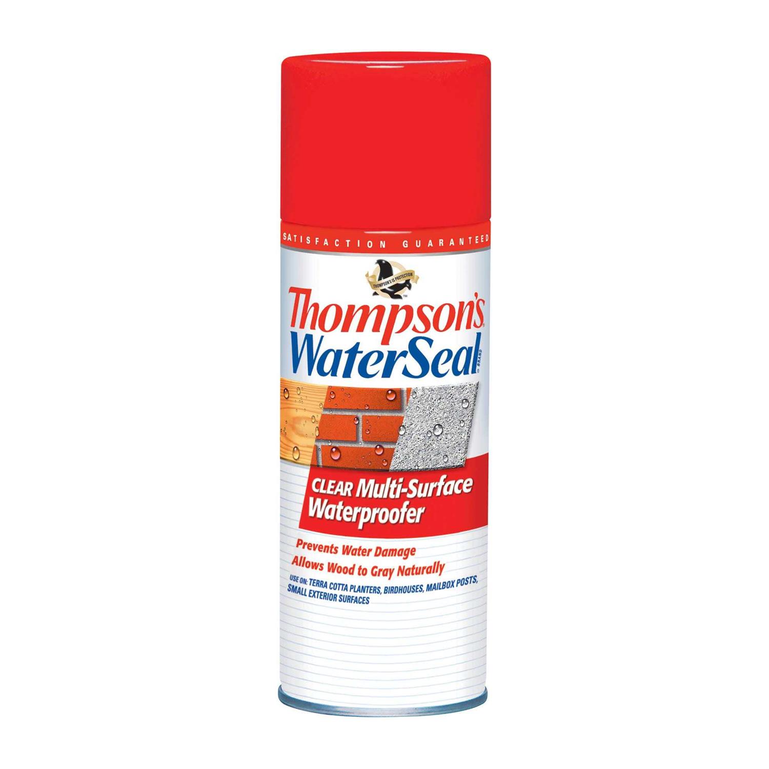 Thompson’s WaterSeal Clear Exterior Wood Stain & Sealer - Zenithce