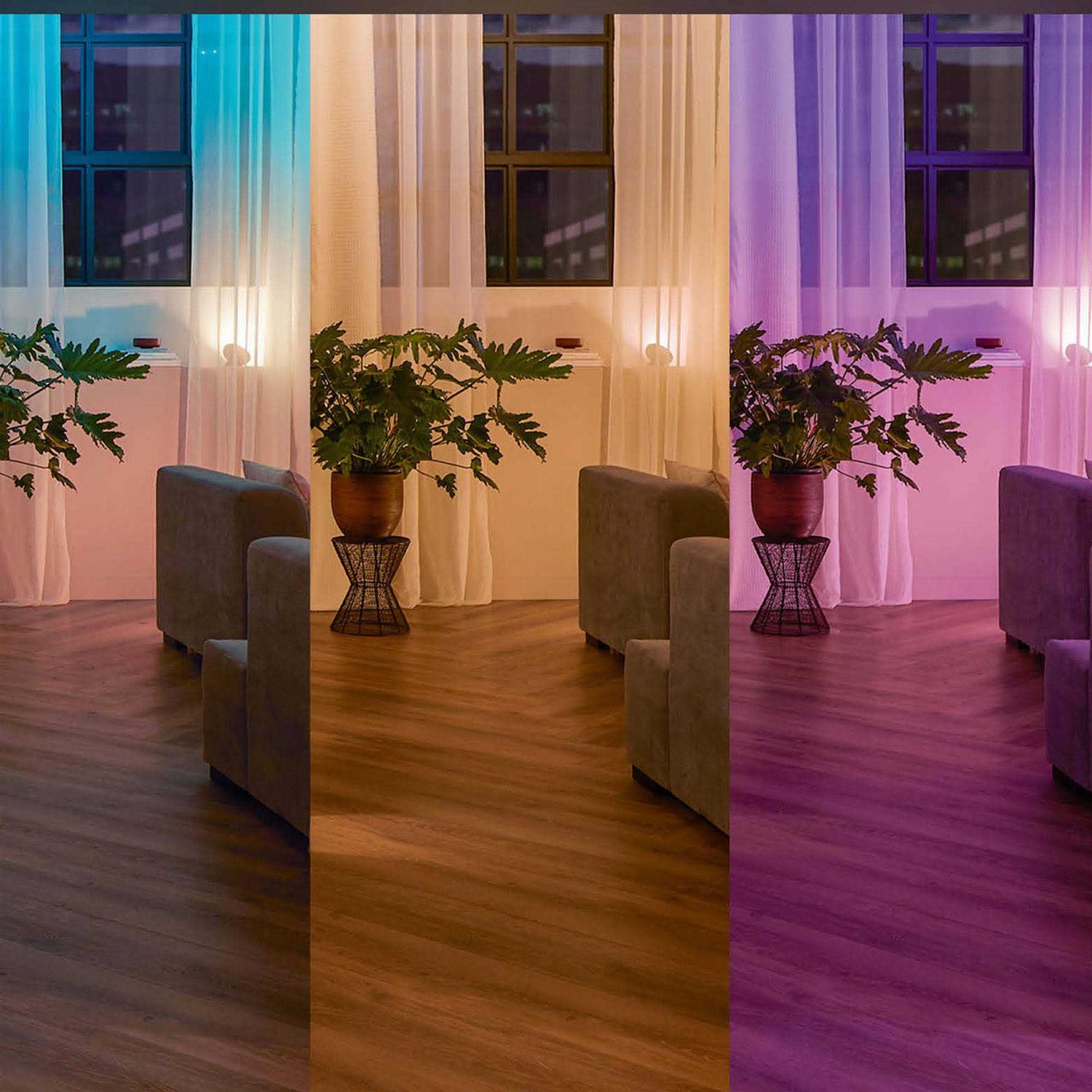 Philips Hue Wall Switch Module - Zenithce