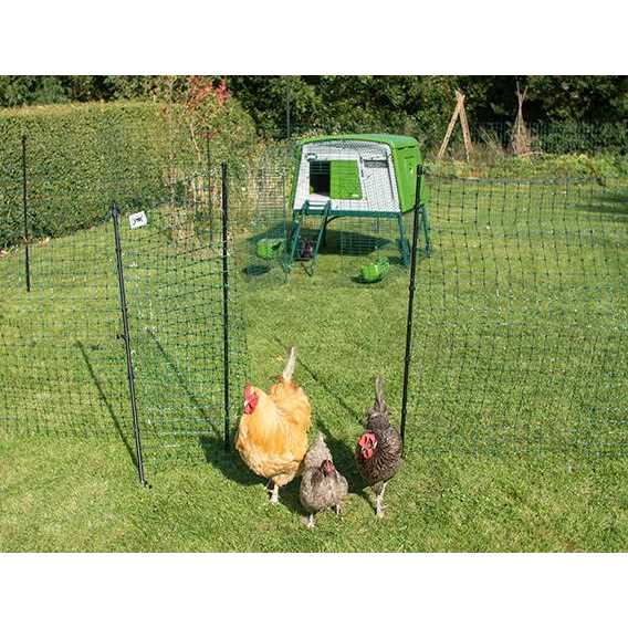 Omlet Chicken Fencing Mk2 - Zenithce