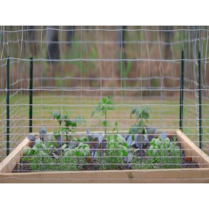 Garden Zone Poultry Netting 36×150′ - Zenithce