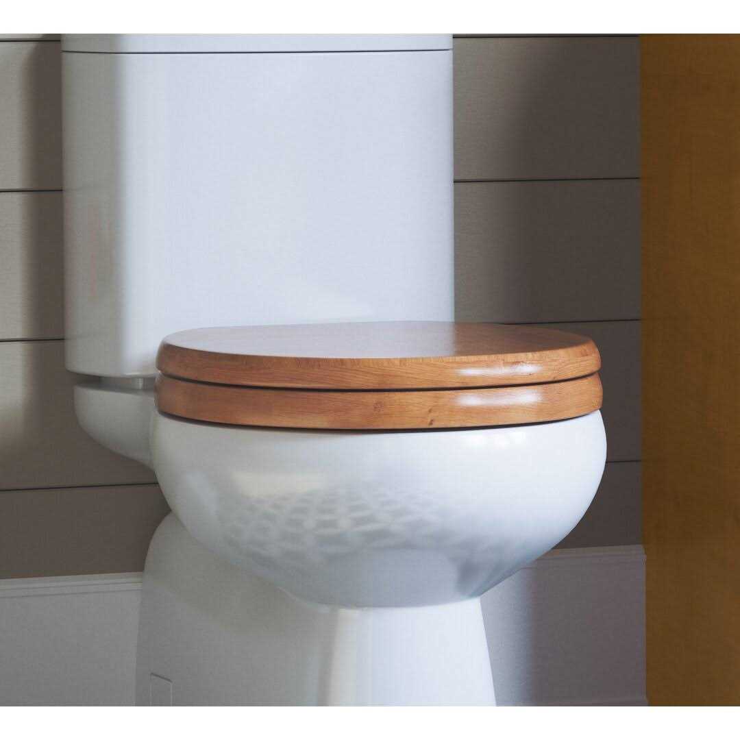 Design House Dalton Round Toilet Seat 561241 - Zenithce