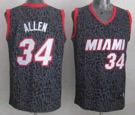 Miami Heat #34 Ray Allen Black Leopard Print Fashion Jersey - Zenithce