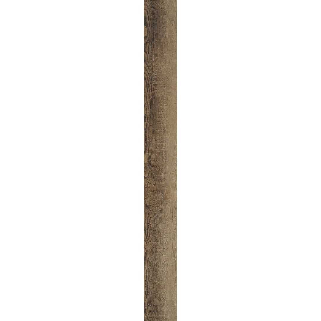 Shaw 1019V Paragon Plus - Zenithce