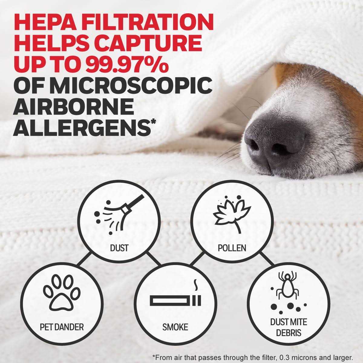 Honeywell HRF-APP1 Household Odor & Gas Reducing Universal Pre-Filter - Zenithce
