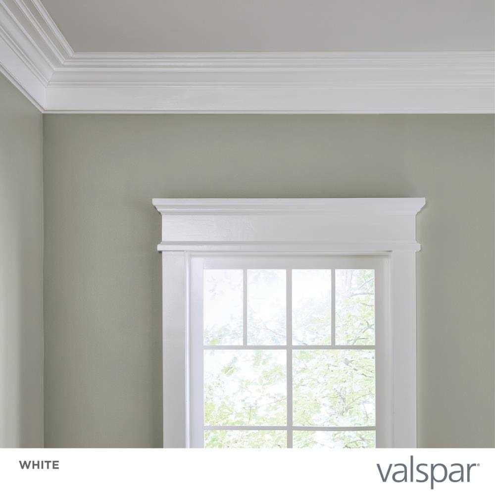 Valspar Interior Paint - Zenithce
