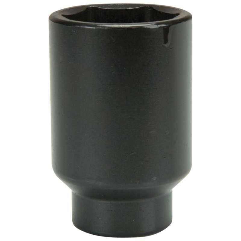 Evercraft Socket - Zenithce