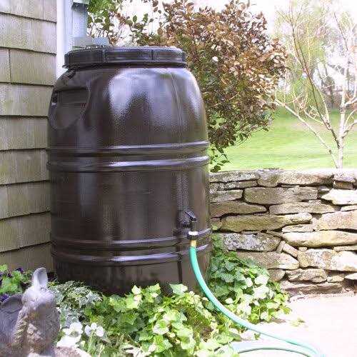 Great American Painted 60 Gallon Rain Barrel - Zenithce