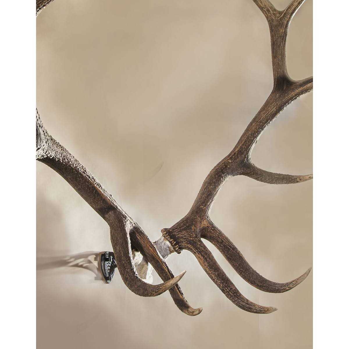 Skull Hooker Bone Bracket and Skull Cap Combo - Zenithce