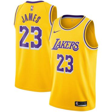 Los Angeles Lakers #23 LeBron James Purple Number Yellow Stitched Jersey - Zenithce