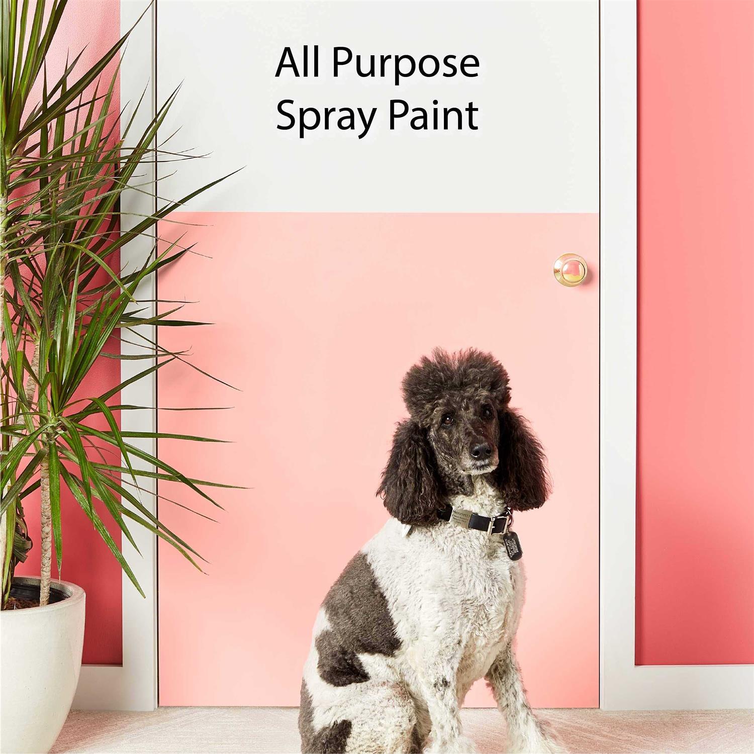 Krylon COLORmaxx Spray Paint - Zenithce