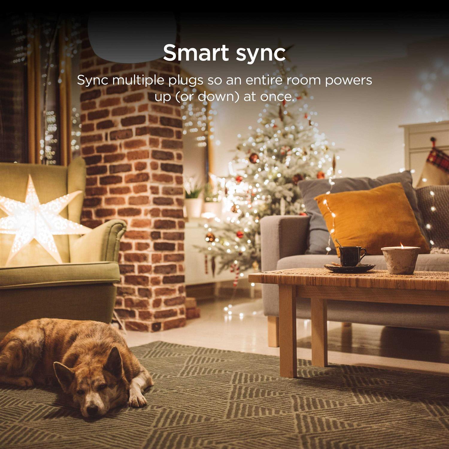 Roku Smart Home Indoor Smart Plug SE with Custom Scheduling, Remote Power, and Voice Control - Zenithce