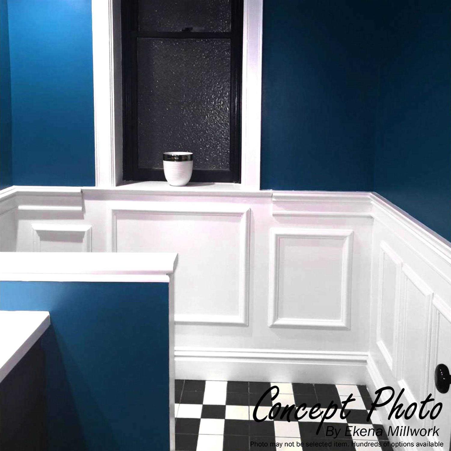 Ekena Millwork Ashford Molded Classic Wainscot Wall Panel PNL16X28AS-01 - Zenithce