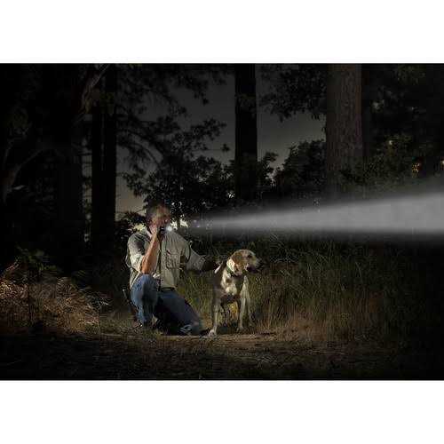 Maglite ML25LT 2C - Zenithce