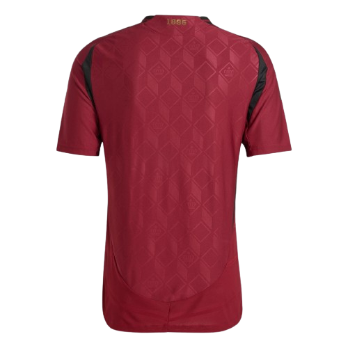 Belgium 2024/25 Home Soccer jersey - Zenithce