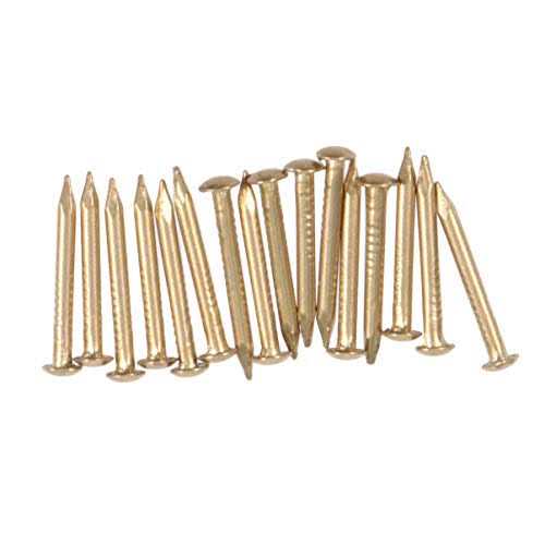 Heallily 100pcs Copper Nails for Killing Trees Removing Stumps Copper Nail Spike - Zenithce