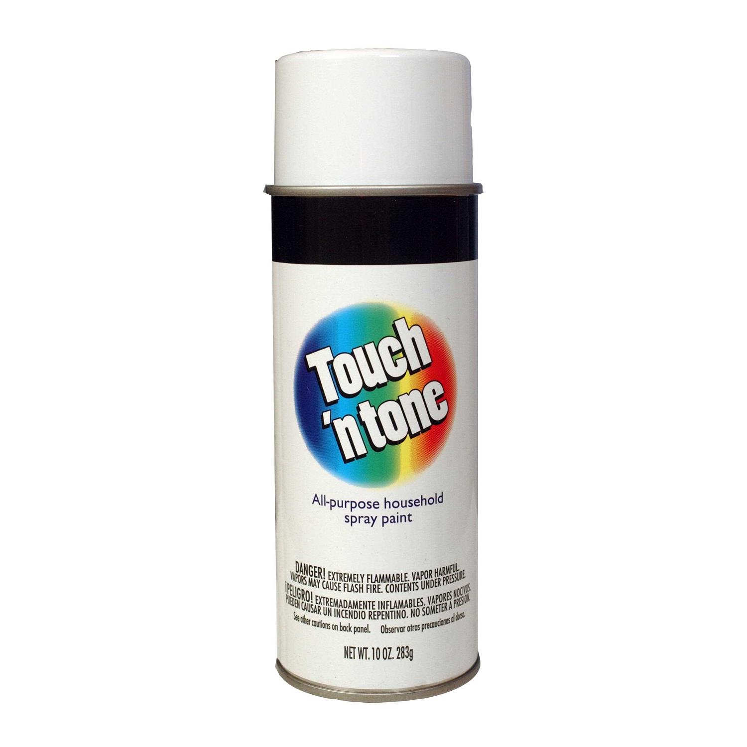 Touch N Tone Spray Paint - Zenithce