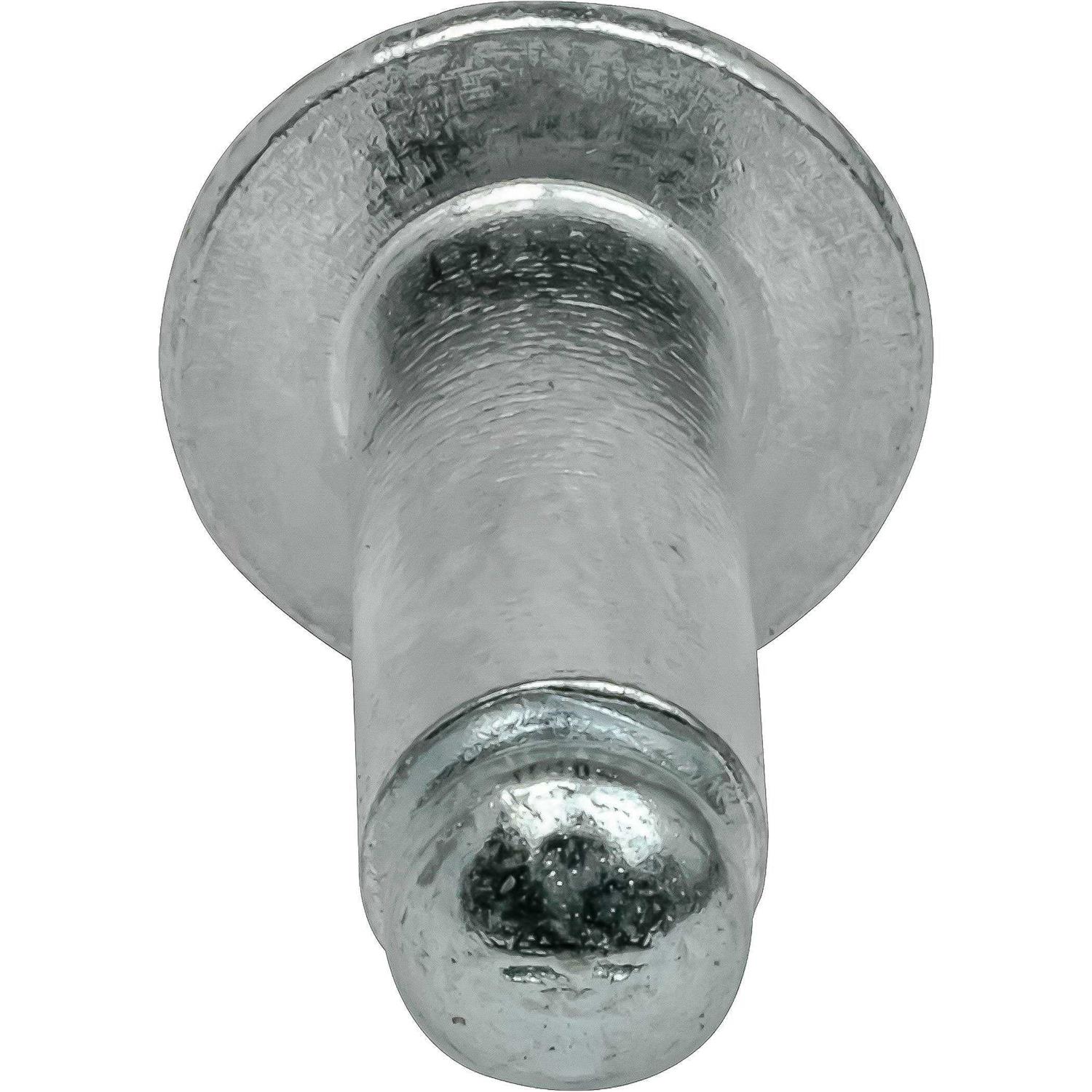 Dome Head Pop Rivets Steel 100 - Zenithce